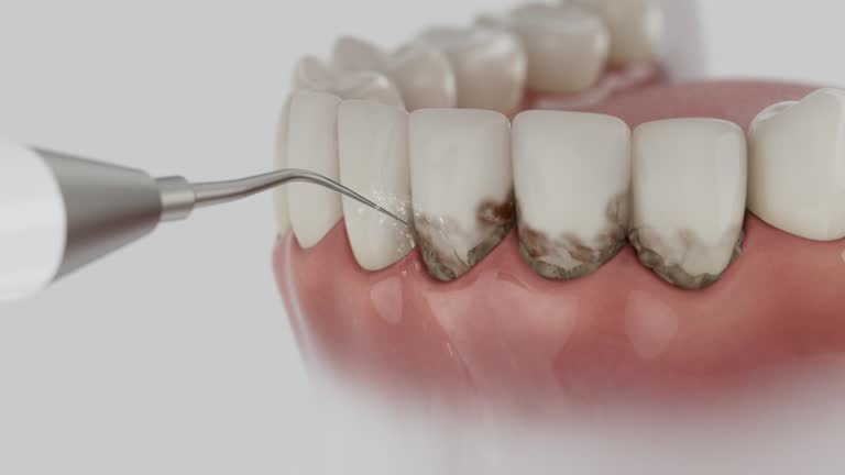 Reliable Dental contractor in Glynn County County, GA by Dentist Open Now